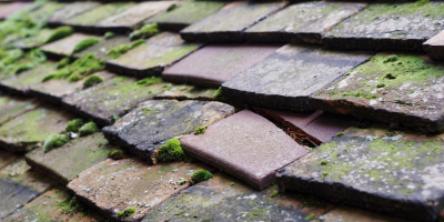 Golborne roof repair costs